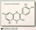 Quercetin 98% 